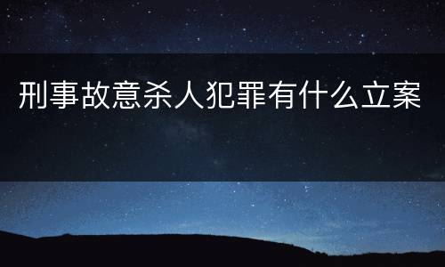 刑事故意杀人犯罪有什么立案