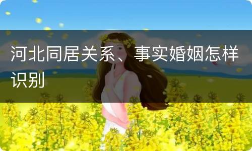 河北同居关系、事实婚姻怎样识别