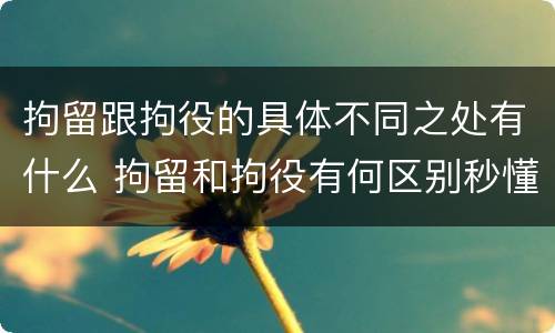 拘留跟拘役的具体不同之处有什么 拘留和拘役有何区别秒懂百科