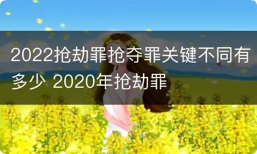 2022抢劫罪抢夺罪关键不同有多少 2020年抢劫罪
