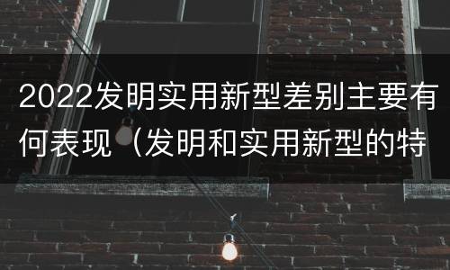 2022发明实用新型差别主要有何表现（发明和实用新型的特征）