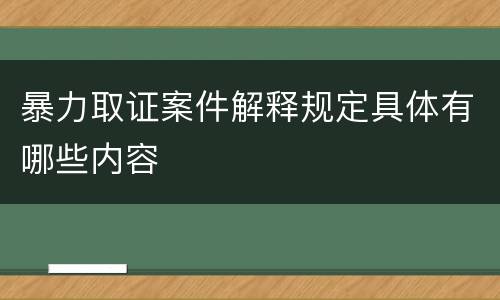 暴力取证案件解释规定具体有哪些内容
