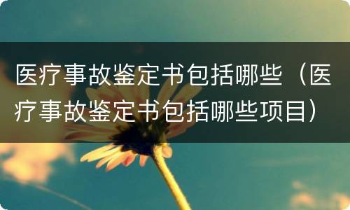 医疗事故鉴定书包括哪些（医疗事故鉴定书包括哪些项目）