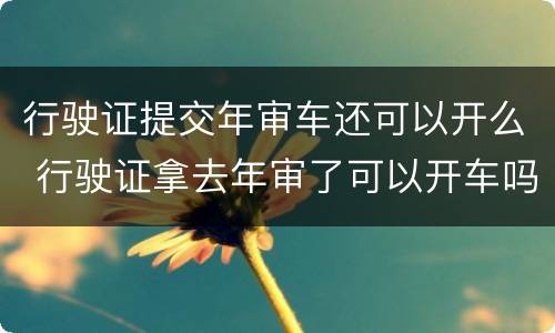 行驶证提交年审车还可以开么 行驶证拿去年审了可以开车吗