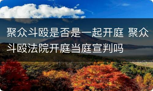 聚众斗殴是否是一起开庭 聚众斗殴法院开庭当庭宣判吗