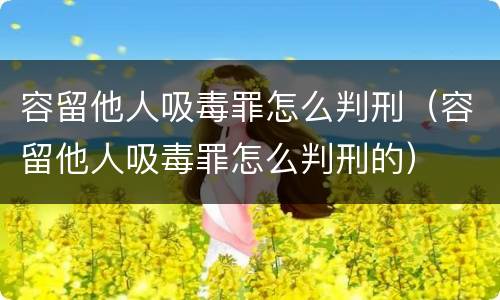 容留他人吸毒罪怎么判刑（容留他人吸毒罪怎么判刑的）