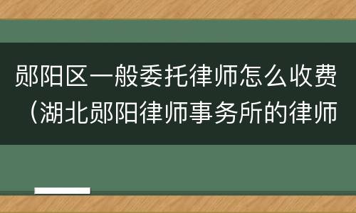 郧阳区一般委托律师怎么收费（湖北郧阳律师事务所的律师）