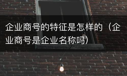 企业商号的特征是怎样的（企业商号是企业名称吗）