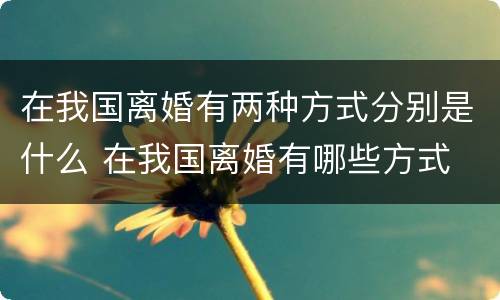 在我国离婚有两种方式分别是什么 在我国离婚有哪些方式