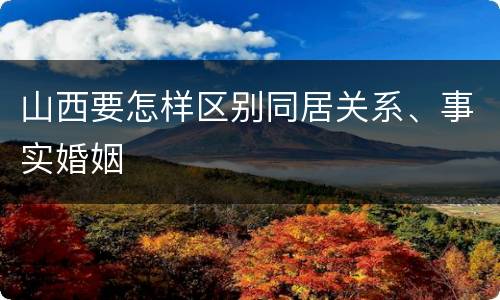 山西要怎样区别同居关系、事实婚姻