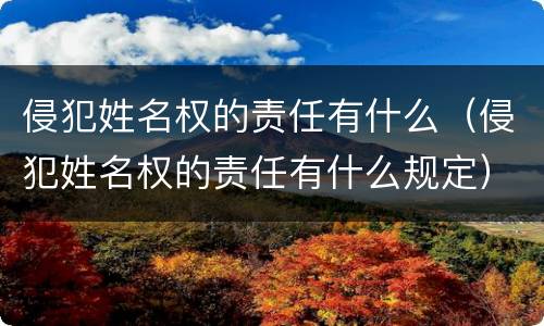 侵犯姓名权的责任有什么（侵犯姓名权的责任有什么规定）