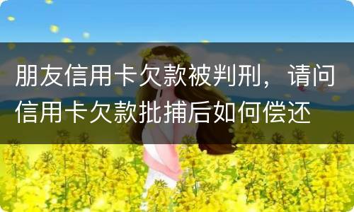 朋友信用卡欠款被判刑，请问信用卡欠款批捕后如何偿还
