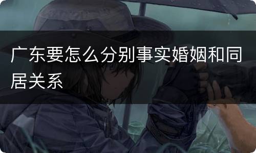 广东要怎么分别事实婚姻和同居关系