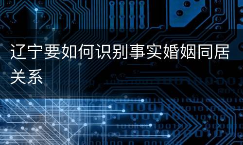 辽宁要如何识别事实婚姻同居关系