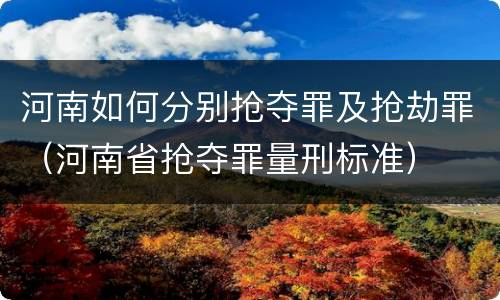 河南如何分别抢夺罪及抢劫罪（河南省抢夺罪量刑标准）