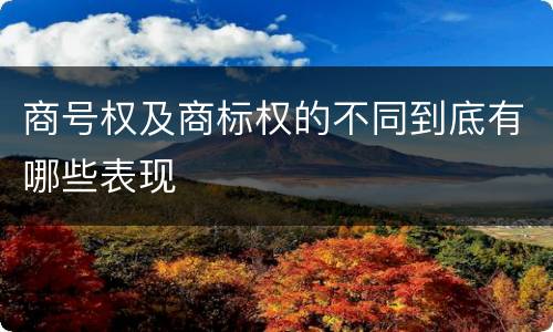 商号权及商标权的不同到底有哪些表现