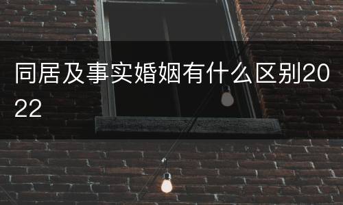 同居及事实婚姻有什么区别2022