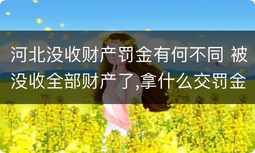 河北没收财产罚金有何不同 被没收全部财产了,拿什么交罚金