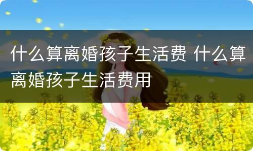 什么算离婚孩子生活费 什么算离婚孩子生活费用