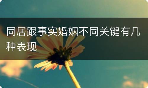 同居跟事实婚姻不同关键有几种表现