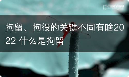 拘留、拘役的关键不同有啥2022 什么是拘留