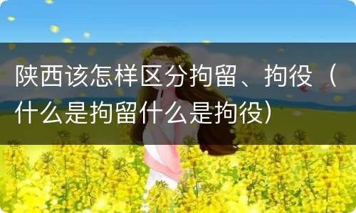 陕西该怎样区分拘留、拘役（什么是拘留什么是拘役）