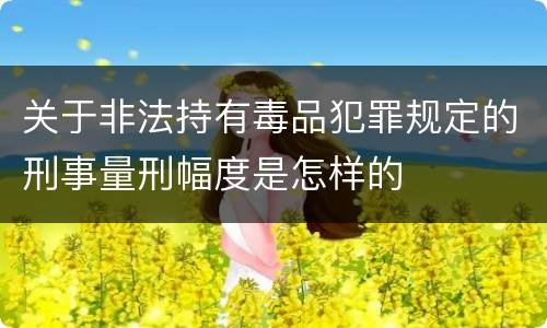 关于非法持有毒品犯罪规定的刑事量刑幅度是怎样的