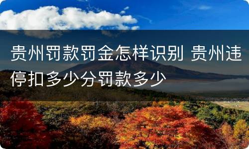 贵州罚款罚金怎样识别 贵州违停扣多少分罚款多少
