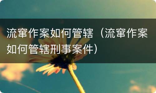 流窜作案如何管辖（流窜作案如何管辖刑事案件）