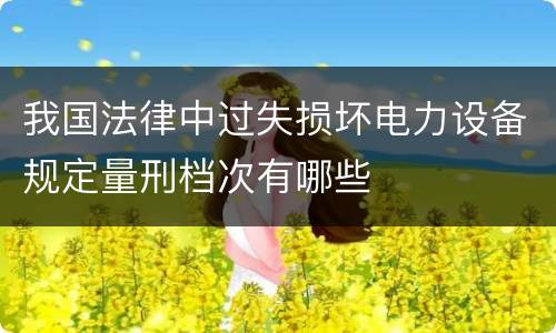 我国法律中过失损坏电力设备规定量刑档次有哪些
