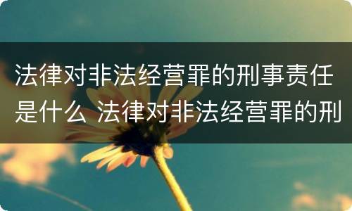 法律对非法经营罪的刑事责任是什么 法律对非法经营罪的刑事责任是什么规定