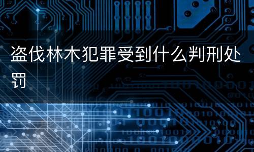 盗伐林木犯罪受到什么判刑处罚