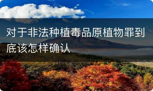 对于非法种植毒品原植物罪到底该怎样确认