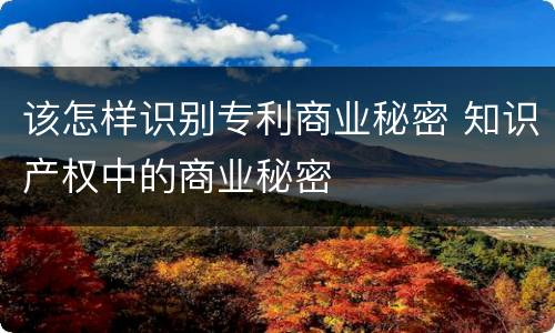 该怎样识别专利商业秘密 知识产权中的商业秘密
