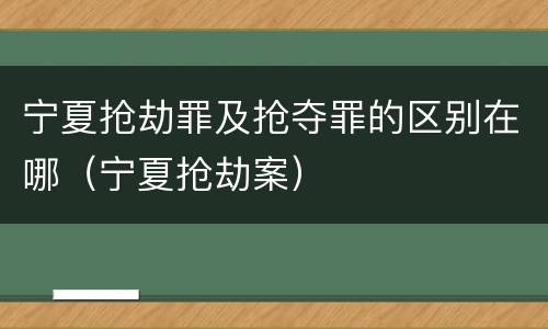宁夏抢劫罪及抢夺罪的区别在哪（宁夏抢劫案）