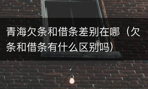 青海欠条和借条差别在哪（欠条和借条有什么区别吗）
