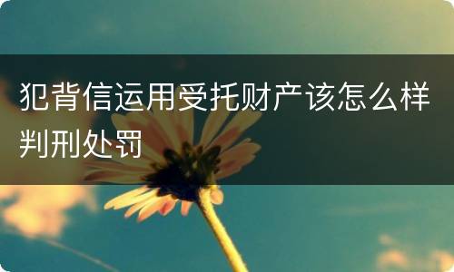 犯背信运用受托财产该怎么样判刑处罚