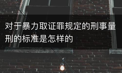 对于暴力取证罪规定的刑事量刑的标准是怎样的