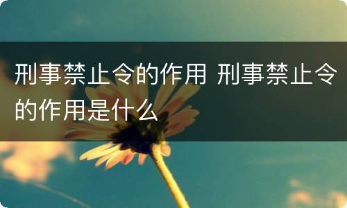 刑事禁止令的作用 刑事禁止令的作用是什么