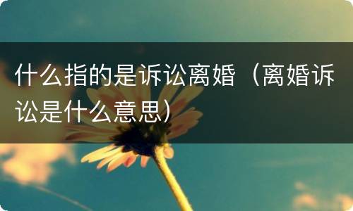 什么指的是诉讼离婚（离婚诉讼是什么意思）