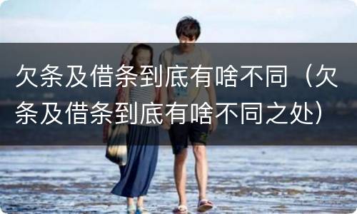 欠条及借条到底有啥不同（欠条及借条到底有啥不同之处）