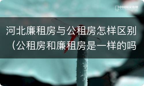 河北廉租房与公租房怎样区别（公租房和廉租房是一样的吗）