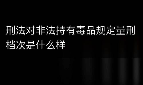 刑法对非法持有毒品规定量刑档次是什么样