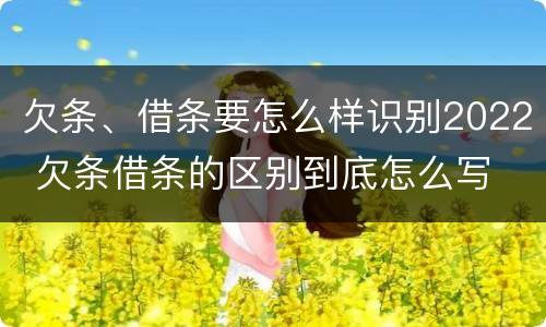 欠条、借条要怎么样识别2022 欠条借条的区别到底怎么写
