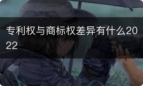 专利权与商标权差异有什么2022