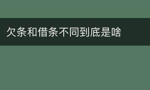 欠条和借条不同到底是啥