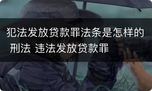 犯法发放贷款罪法条是怎样的 刑法 违法发放贷款罪