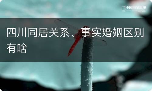 四川同居关系、事实婚姻区别有啥