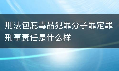 刑法包庇毒品犯罪分子罪定罪刑事责任是什么样