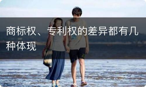 商标权、专利权的差异都有几种体现